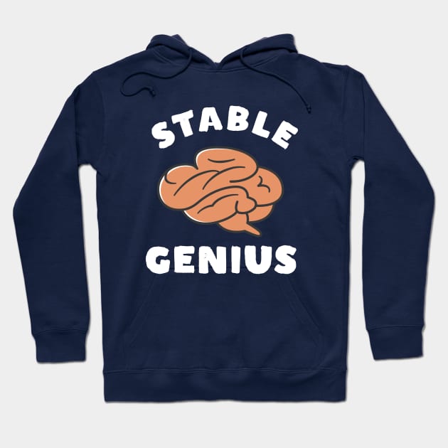 Funny Stable Genius Hoodie by happinessinatee